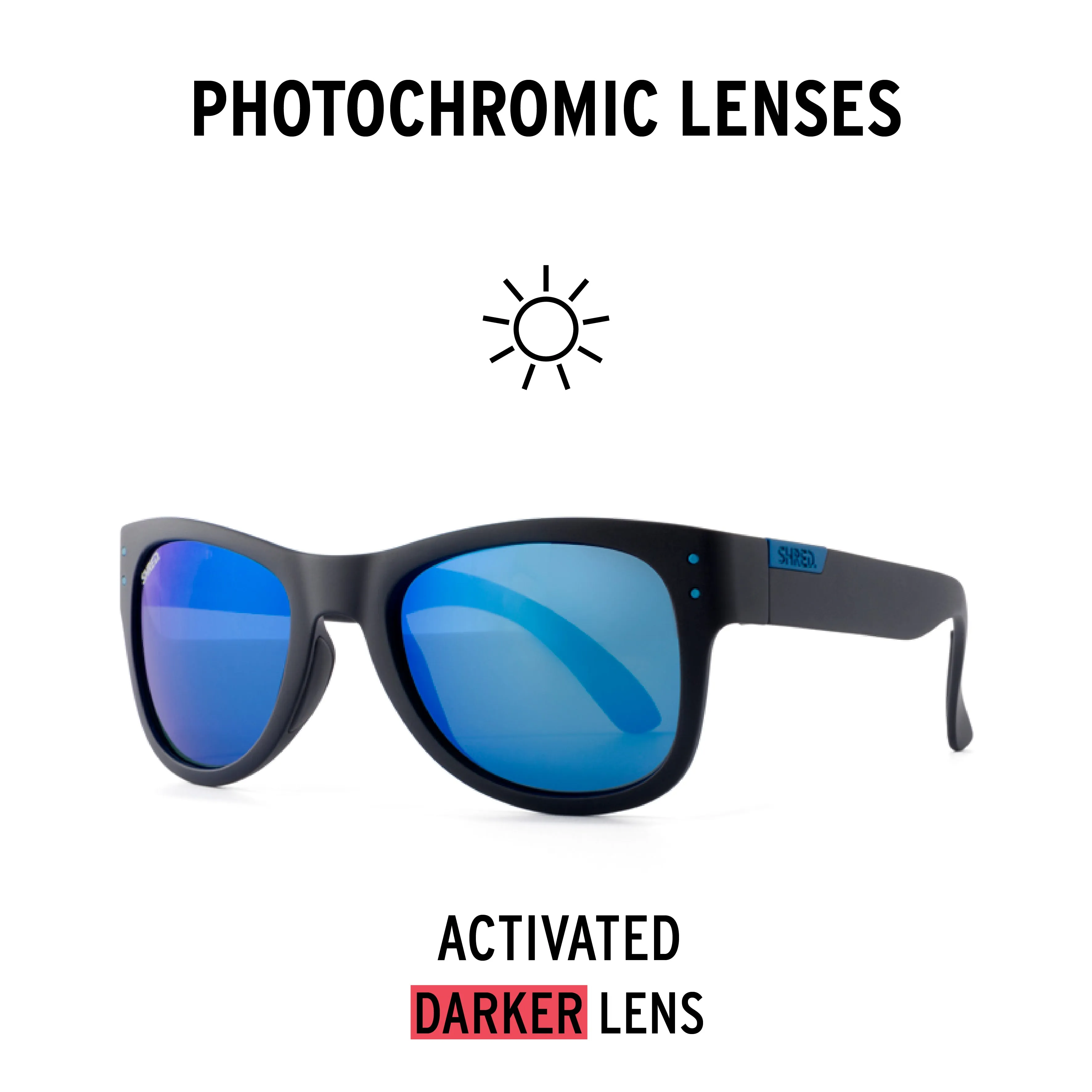 BELUSHKI POLARIZED