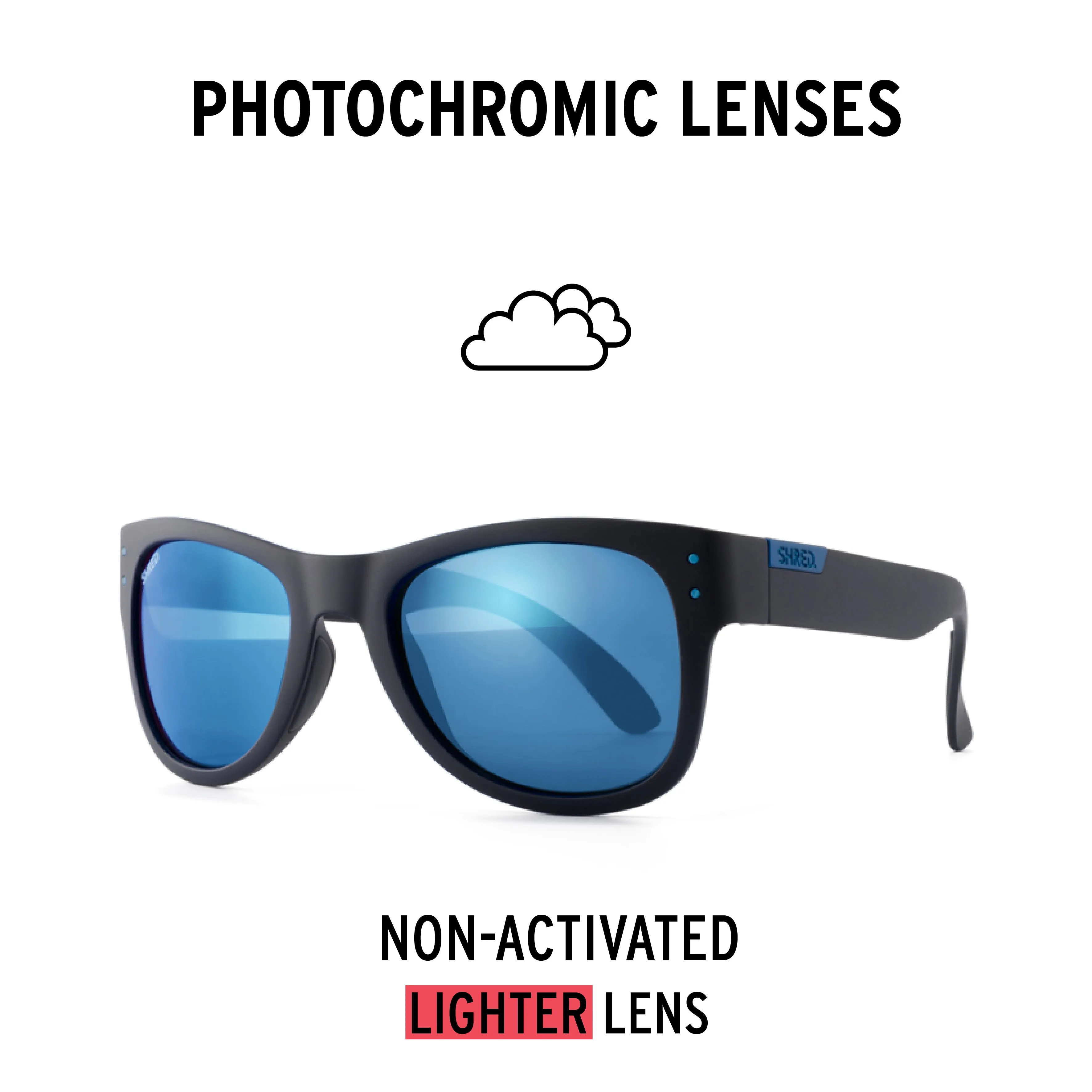 BELUSHKI POLARIZED