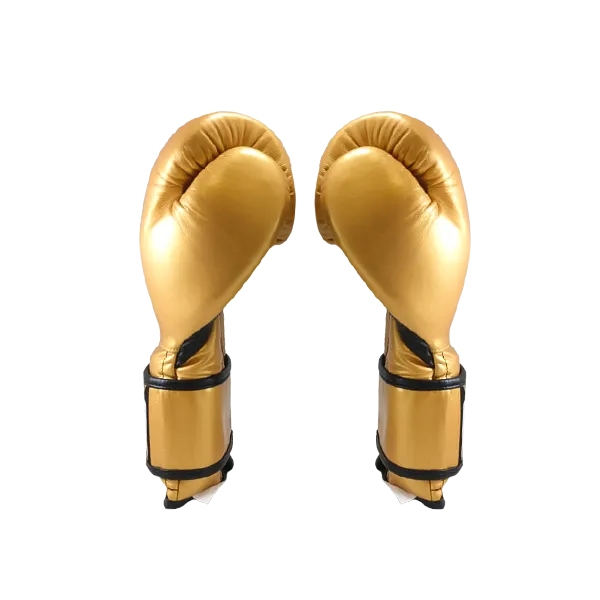 Cleto Reyes Velcro Training Gloves