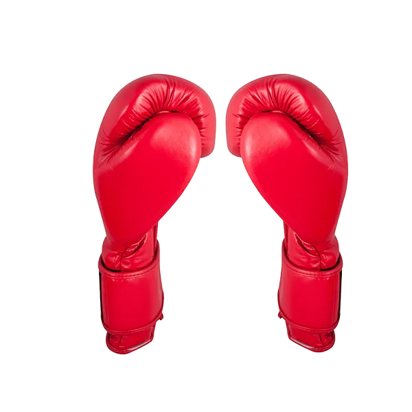 Cleto Reyes Velcro Training Gloves