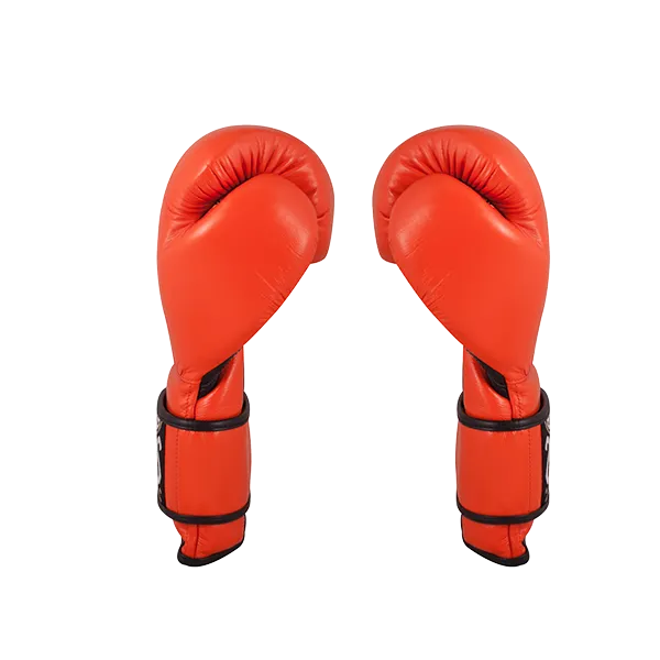Cleto Reyes Velcro Training Gloves