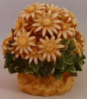 Daisy