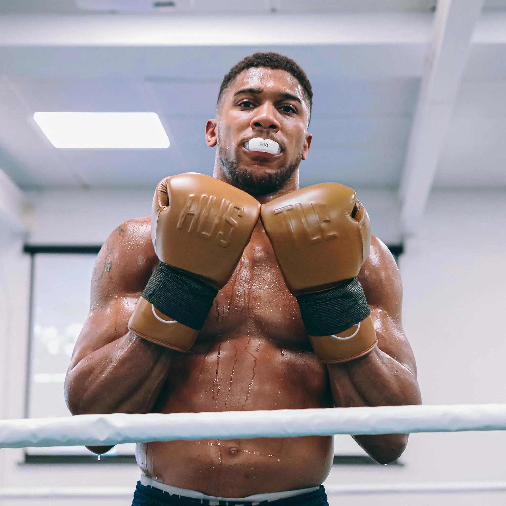 Elite ESG10 Hustle Sparring Glove 16oz