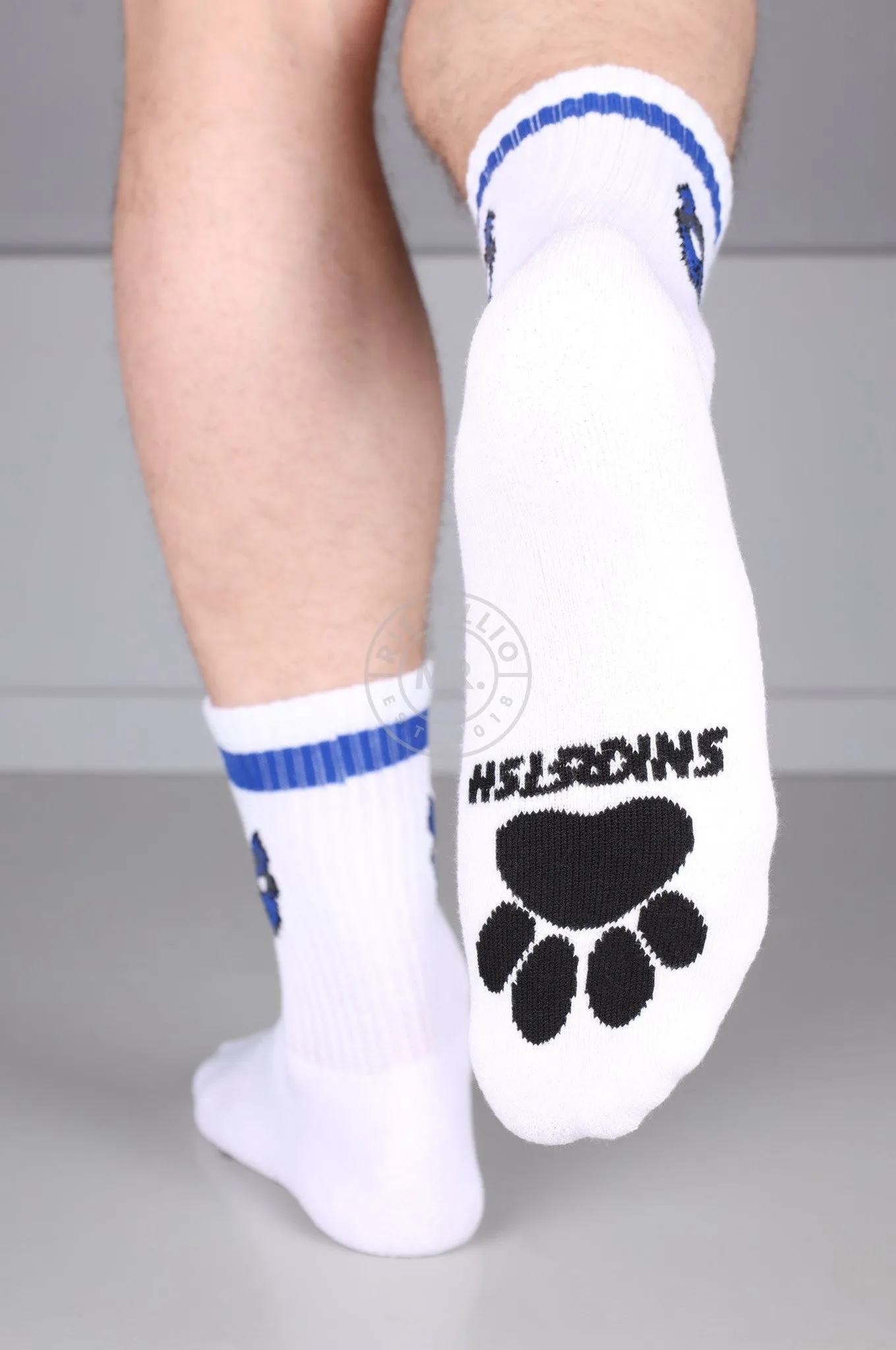 SNKRFTSH PUPPY SOCKS - BLUE