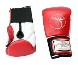 Sparring/Training Gloves - Hook & Loop