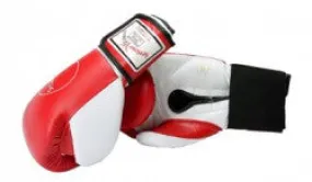 Sparring/Training Gloves - Hook & Loop
