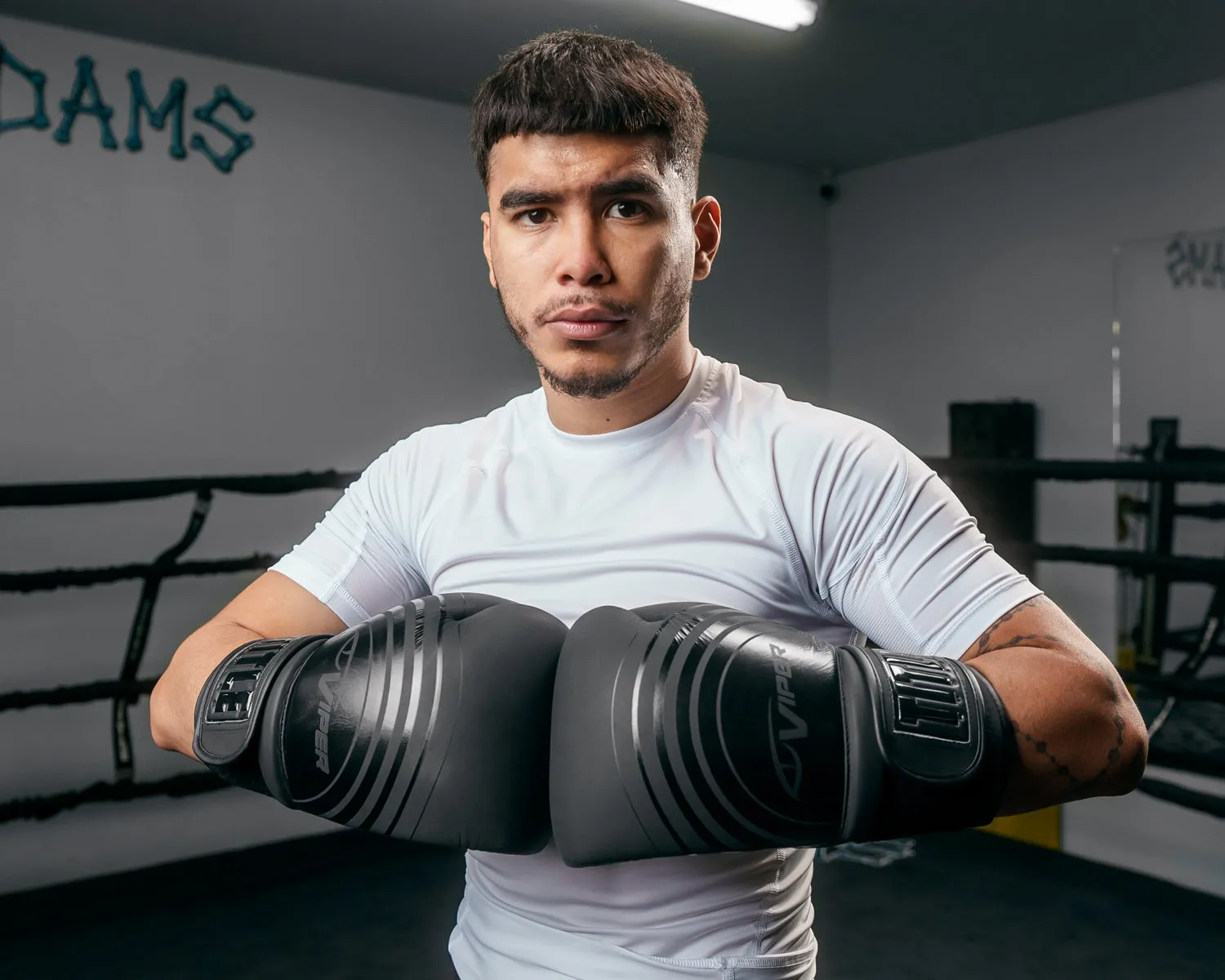 Viper by TITLE Boxing Select Training Gloves 2.0