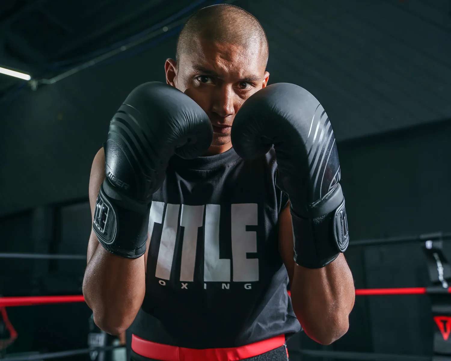 Viper by TITLE Boxing Select Training Gloves 2.0