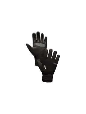 Winter Glove